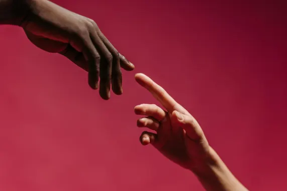 Iwild Kasino Sokongan